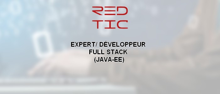 You are currently viewing EXPERT/ DÉVELOPPEUR FULL STACK (JAVA-EE)