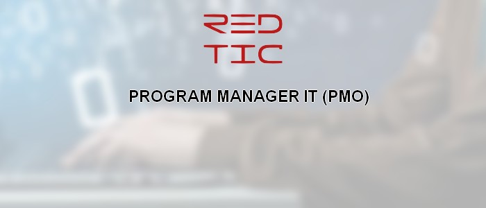 You are currently viewing PROGRAM MANAGER IT (PMO)
