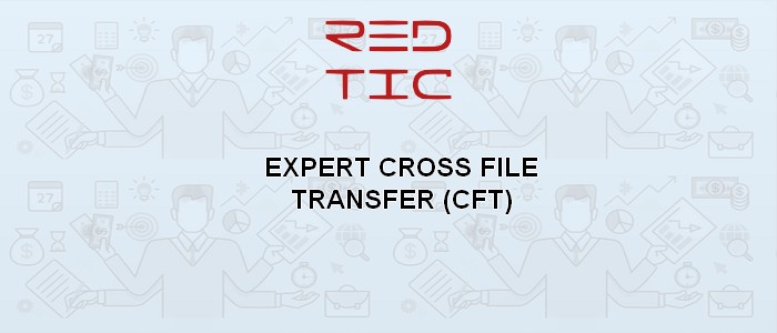 You are currently viewing EXPERT CROSS FILE TRANSFER (CFT)