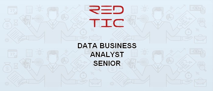 You are currently viewing DATA BUSINESS ANALYST SENIOR