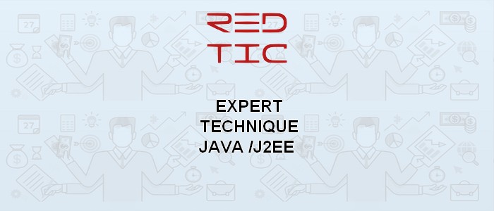EXPERT TECHNIQUE JAVA /J2EE