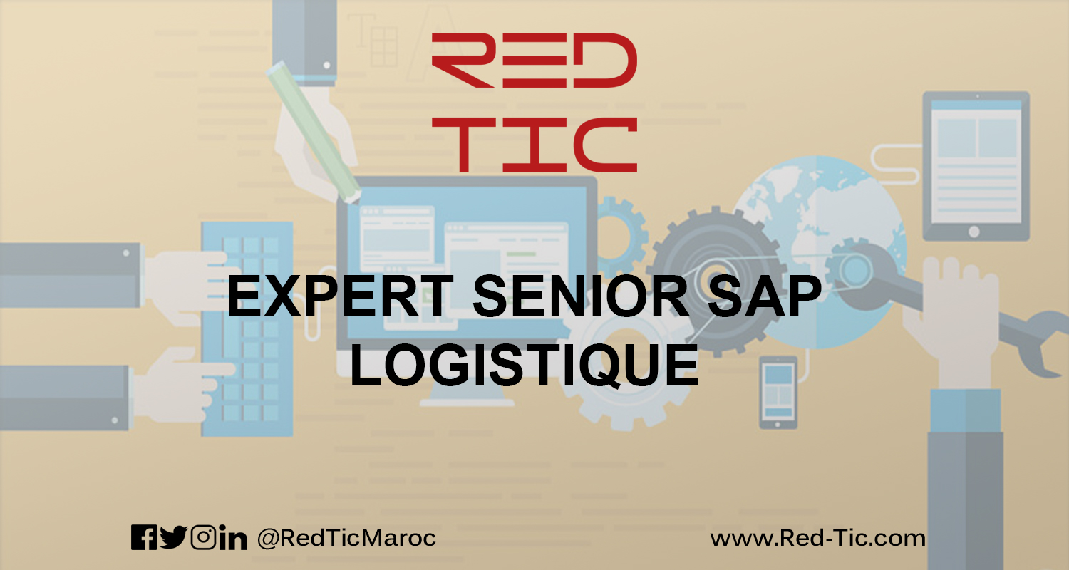 You are currently viewing EXPERT SENIOR SAP LOGISTIQUE