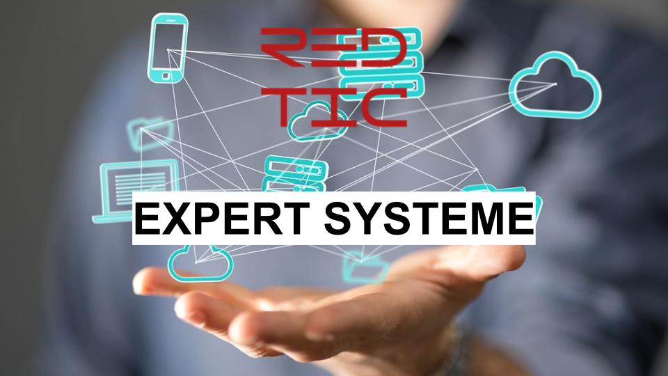 EXPERT SYSTEME RED TIC