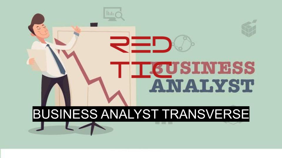 You are currently viewing BUSINESS ANALYST TRANSVERSE