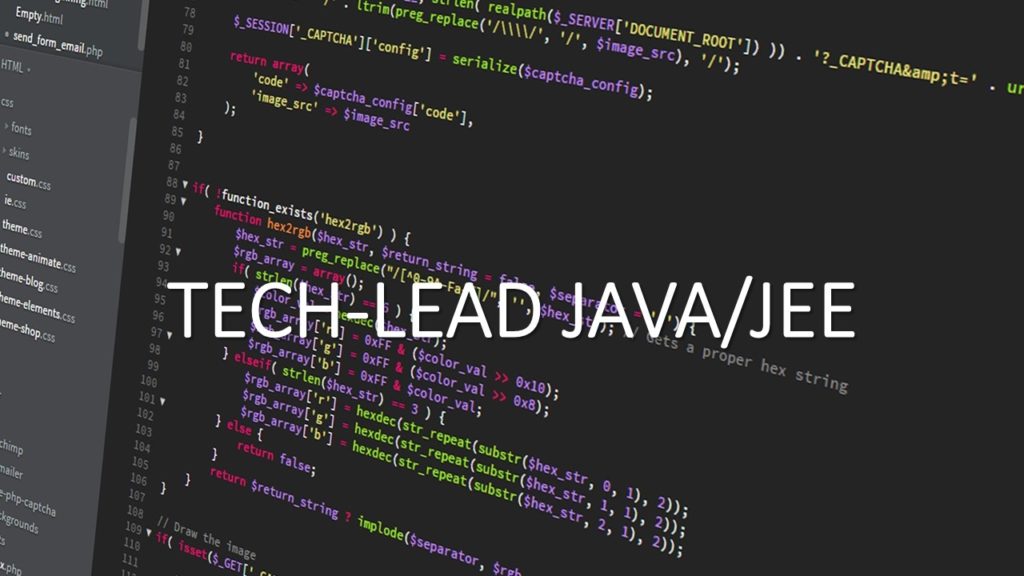 TECH-LEAD JAVA/JEE