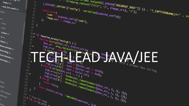 JAVA/JEE -TECH-LEAD - RED TIC