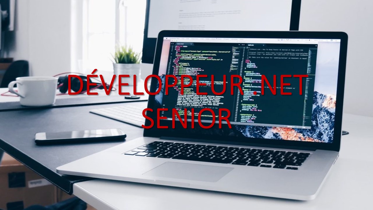 You are currently viewing DEVELOPPEUR .NET SENIOR
