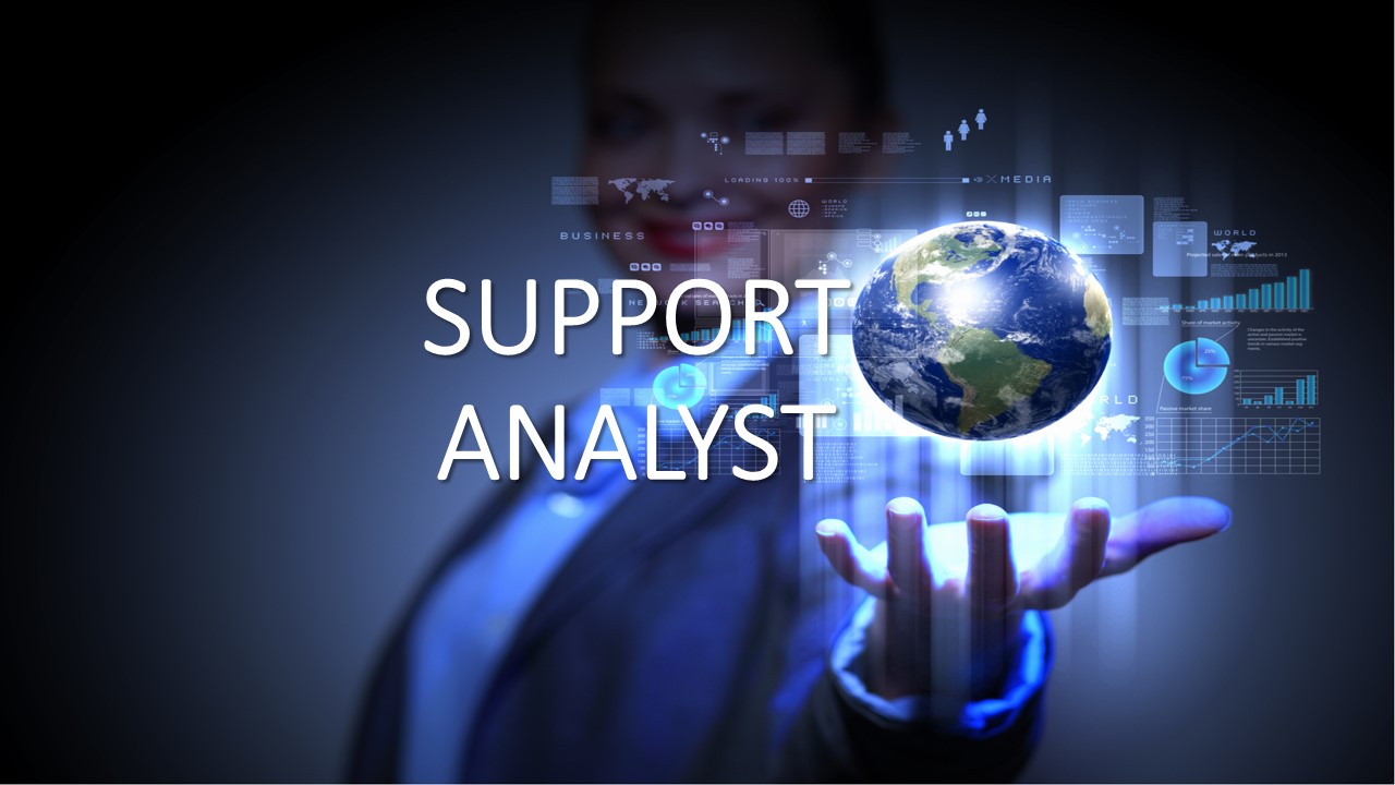 You are currently viewing SUPPORT ANALYST