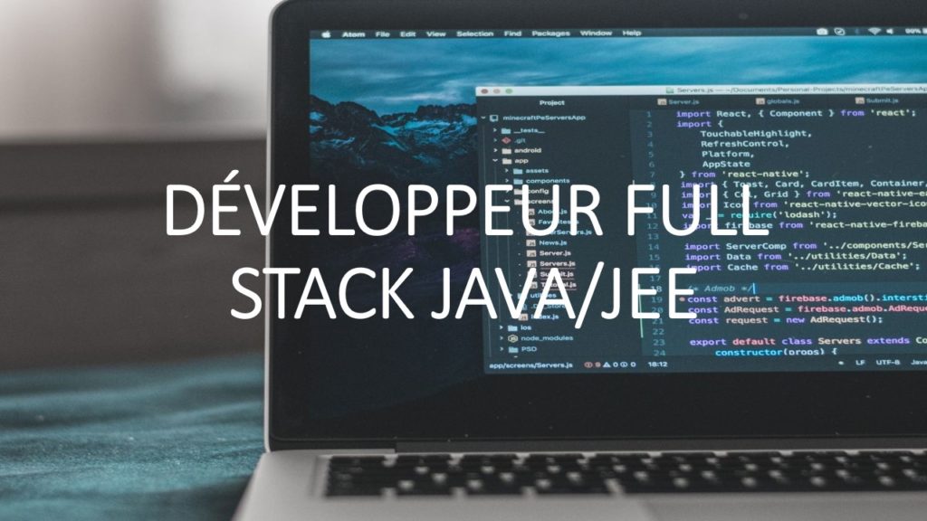 DÃ‰VELOPPEUR FULL STACK JAVA/JEE - RED TIC