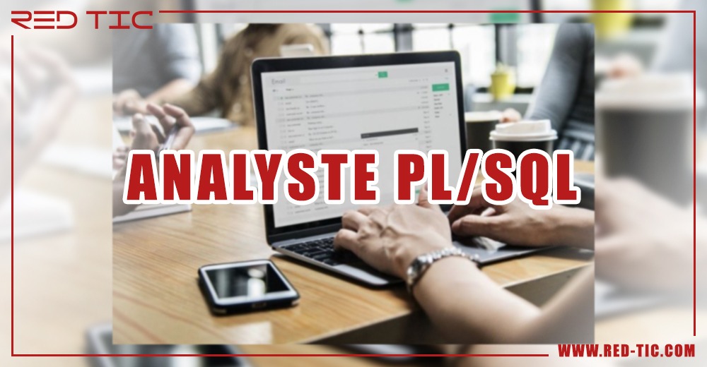 You are currently viewing ANALYSTE PLSQL
