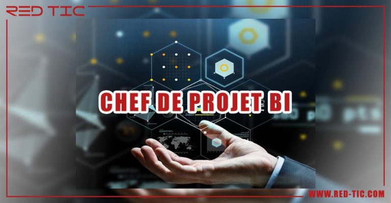 CHEF DE PROJET MOA/MOE BI - RED TIC