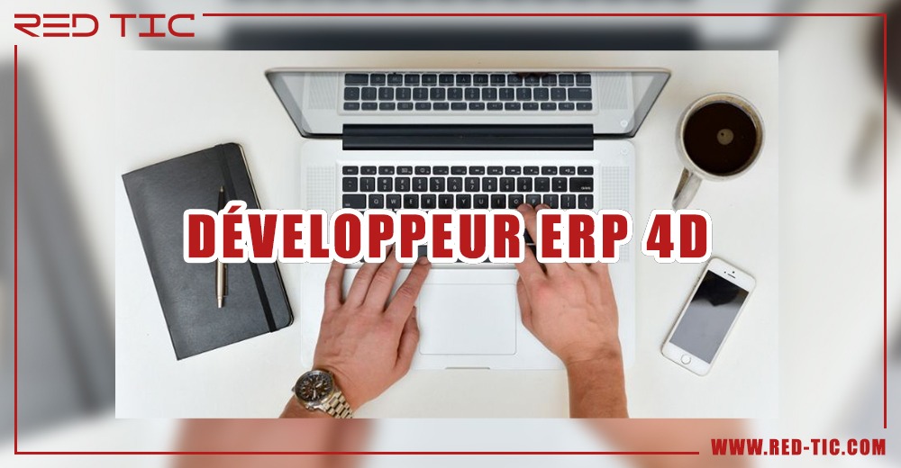 You are currently viewing DÉVELOPPEUR ERP 4D