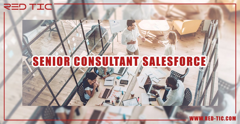 You are currently viewing SENIOR CONSULTANT SALESFORCE (H/F)