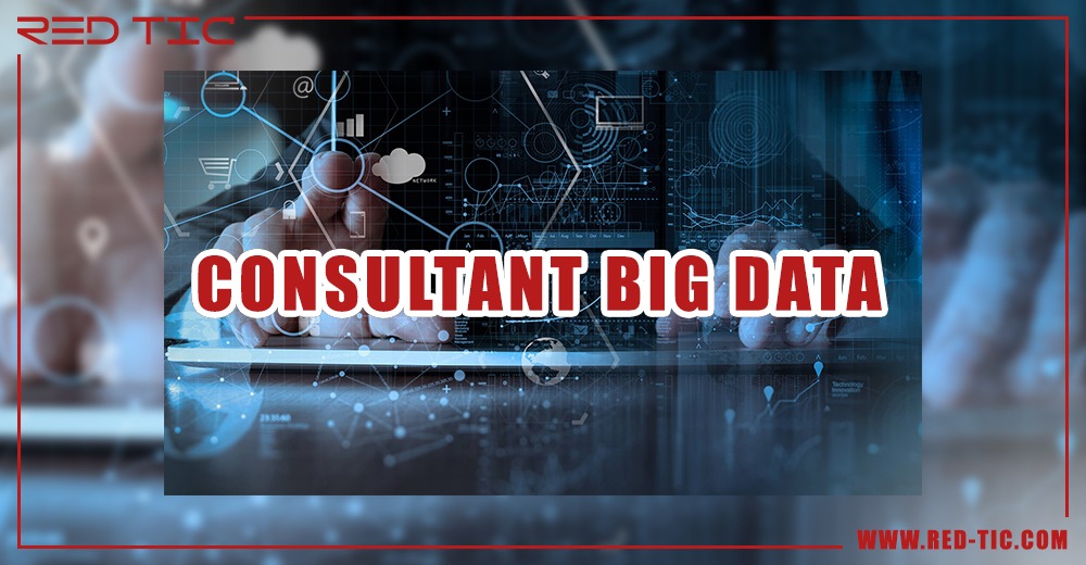 You are currently viewing CONSULTANT BIG DATA