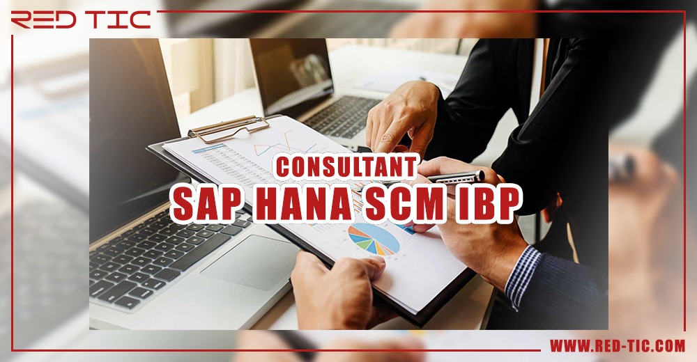You are currently viewing CONSULTANT SAP SCM IBP