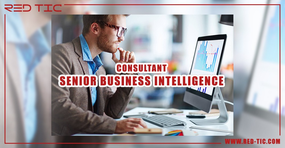 You are currently viewing CONSULTANT SENIOR BUSINESS INTELLIGENCE