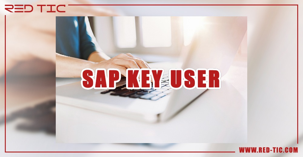 You are currently viewing SAP KEY USER