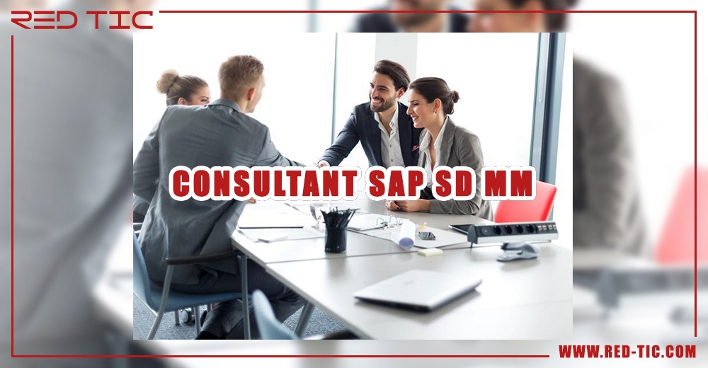 You are currently viewing CONSULTANT SAP SD MM