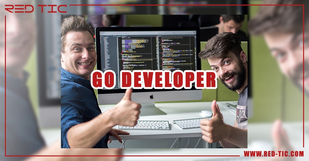 You are currently viewing GO DEVELOPER