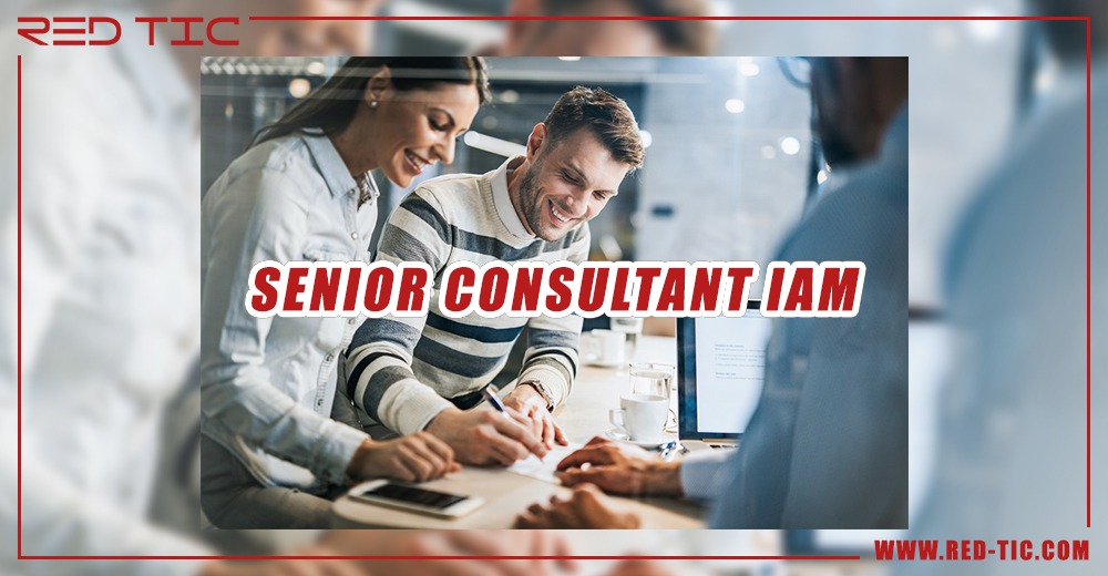 You are currently viewing SENIOR CONSULTANT IAM
