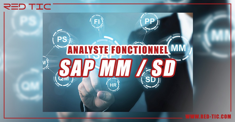 You are currently viewing ANALYSTE FONCTIONNEL SAP MM / SD