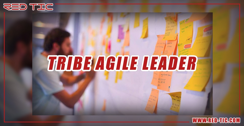 You are currently viewing TRIBE AGILE LEADER