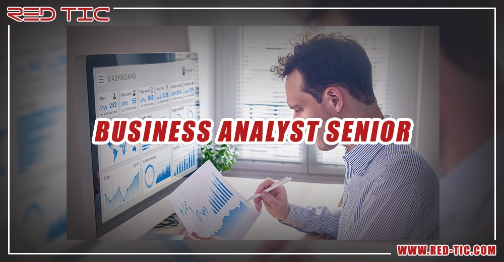 You are currently viewing BUSINESS ANALYST SENIOR