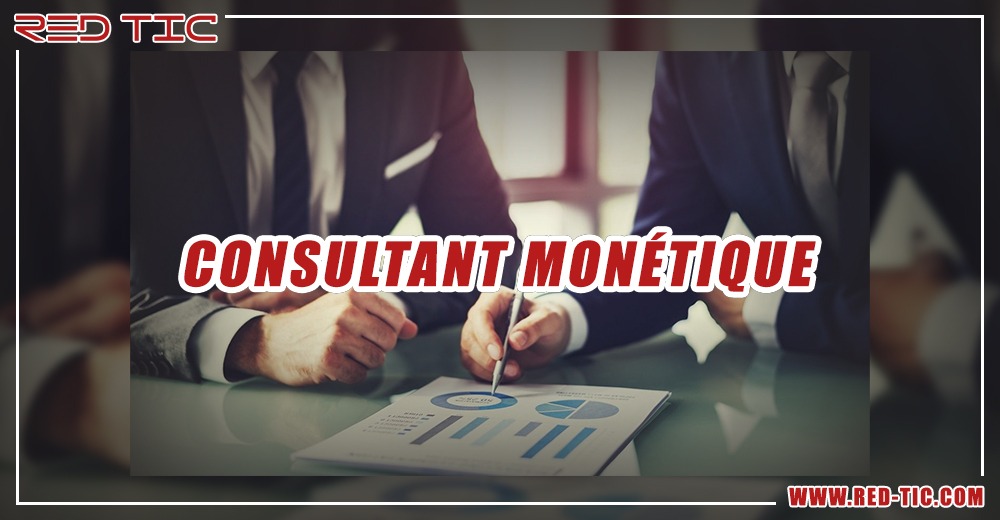 You are currently viewing CONSULTANT MONETIQUE