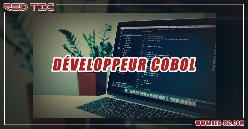 You are currently viewing DÉVELOPPEUR COBOL