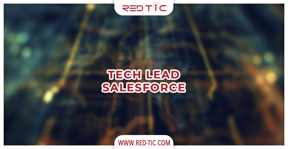 You are currently viewing TECH LEAD SALESFORCE