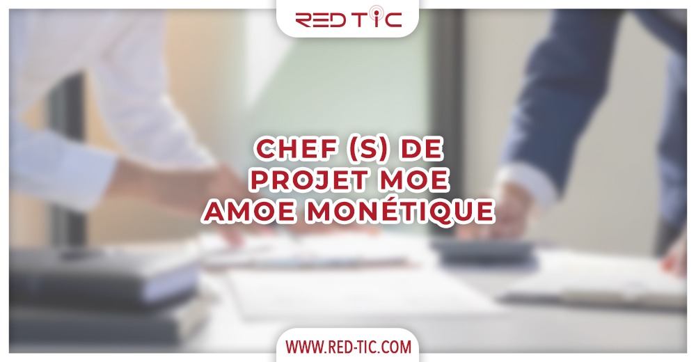 You are currently viewing CHEF DE PROJET(S) MOE AMOE MONÉTIQUE