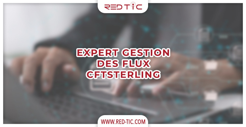 You are currently viewing CONSULTANT SENIOR – GESTION DES FLUX CFT STERLING