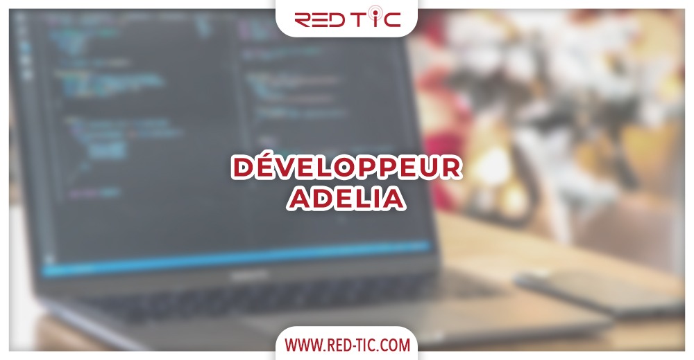 You are currently viewing DÉVELOPPEUR ADELIA