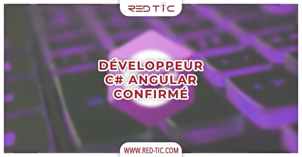 DÉVELOPPEUR  C# ANGULAR