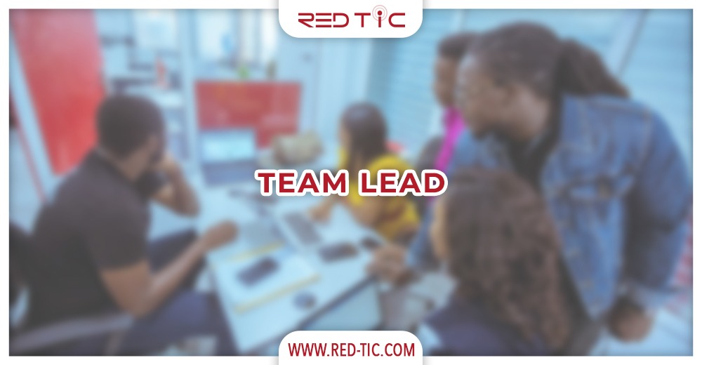 You are currently viewing TEAM LEAD