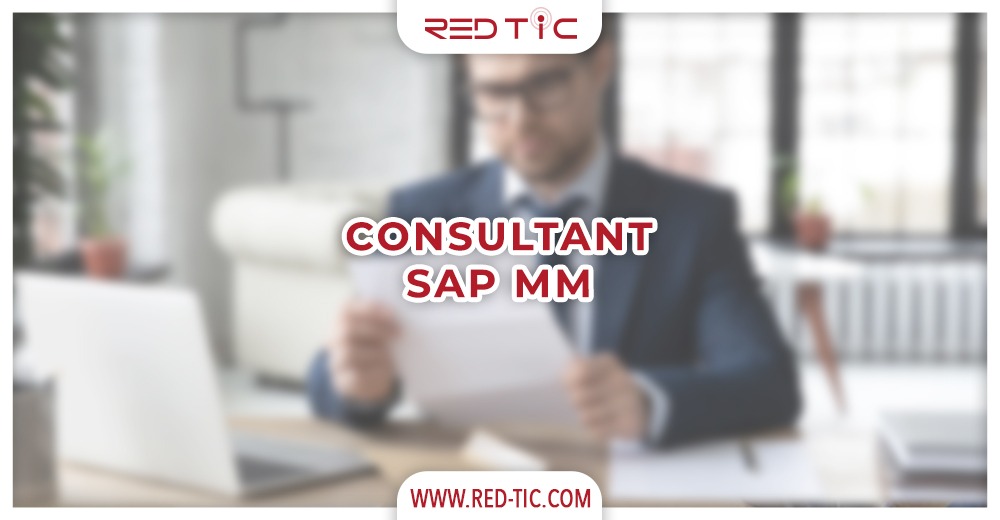 You are currently viewing CONSULTANT SAP MM