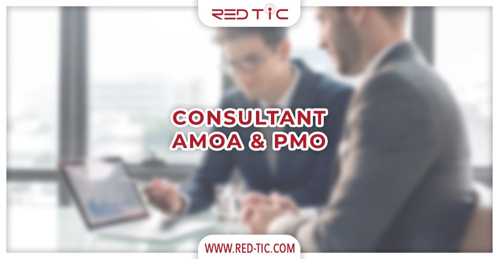 You are currently viewing CONSULTANT AMOA & PMO