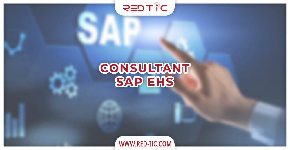 You are currently viewing CONSULTANT SAP EHS
