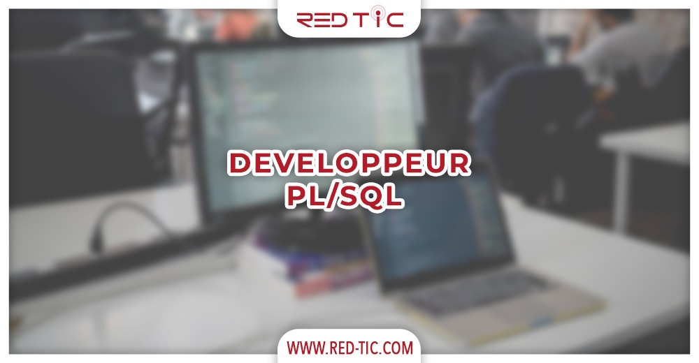 You are currently viewing DEVELOPPEUR PL/SQL