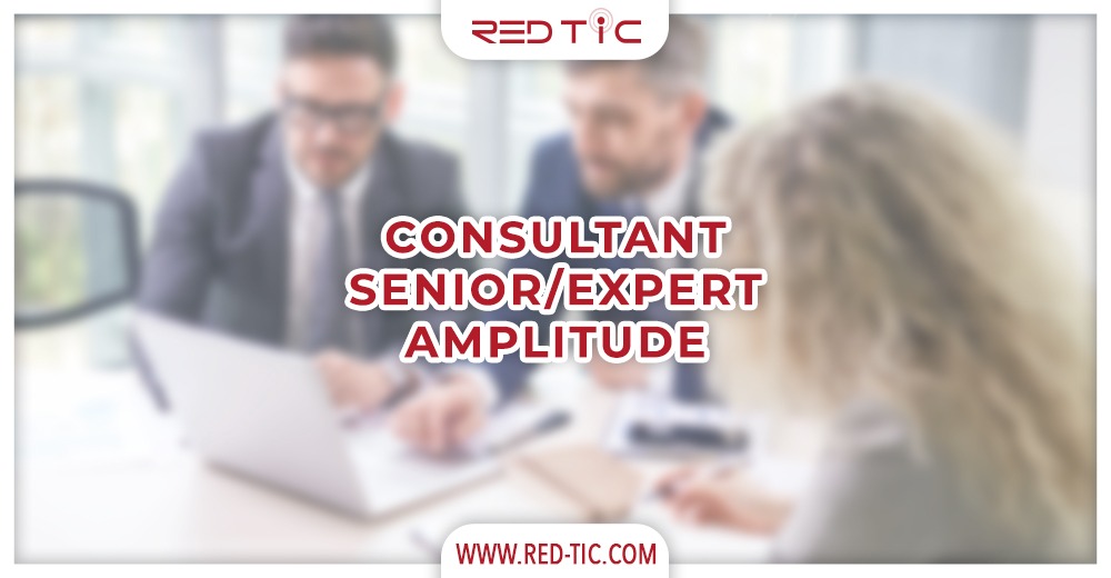 You are currently viewing CONSULTANT SENIOR/EXPERT AMPLITUDE