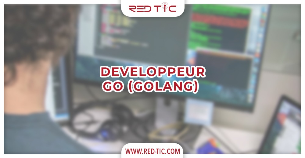 You are currently viewing DEVELOPPEUR GO (GOLANG)