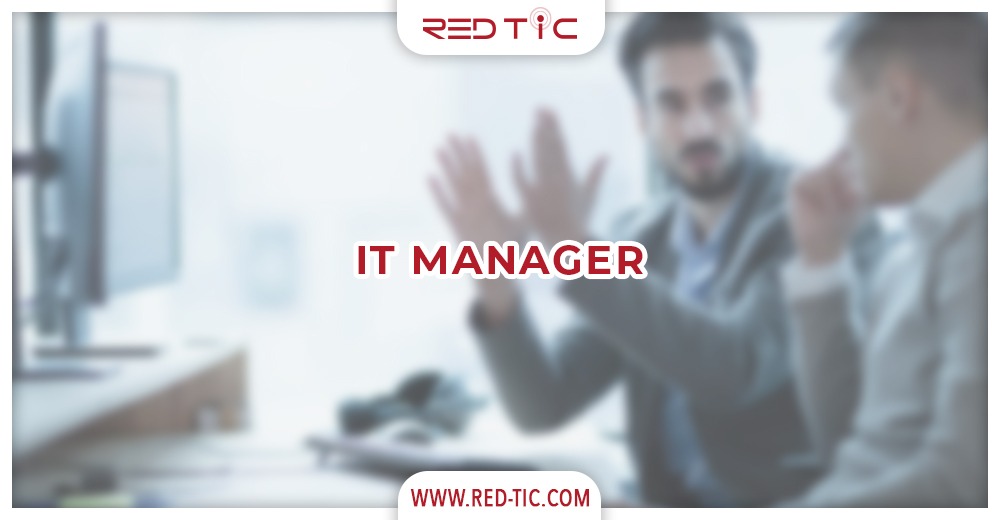 You are currently viewing IT MANAGER