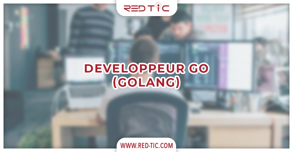 You are currently viewing DEVELOPPEUR GO (GOLANG)