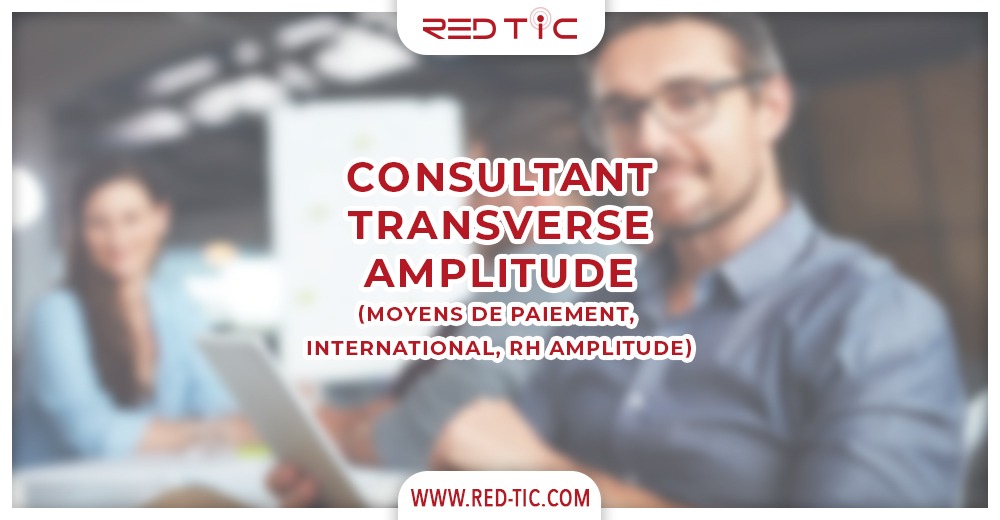 You are currently viewing CONSULTANT TRANSVERSE AMPLITUDE (MOYENS DE PAIEMENT, INTERNATIONAL, RH AMPLITUDE)