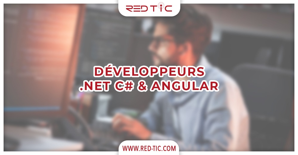 DÉVELOPPEUR .NET C# & ANGULAR