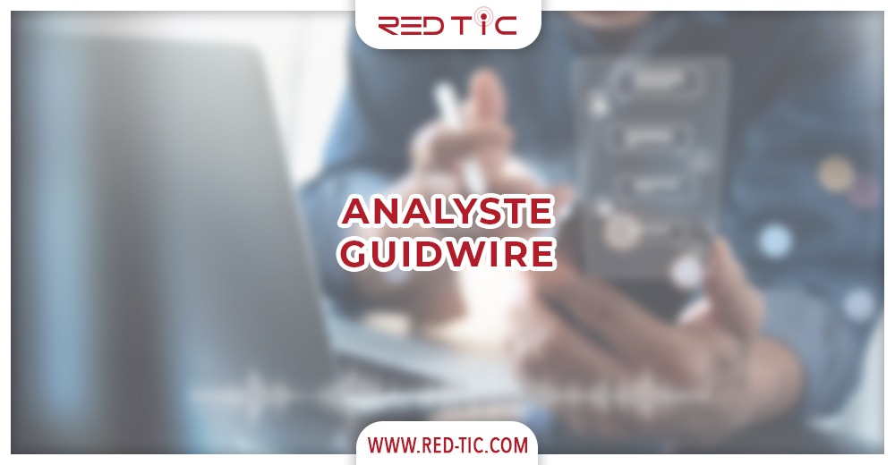 You are currently viewing ANALYSTE GUIDEWIRE