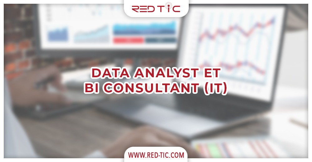You are currently viewing DATA ANALYST ET BI CONSULTANT (IT)