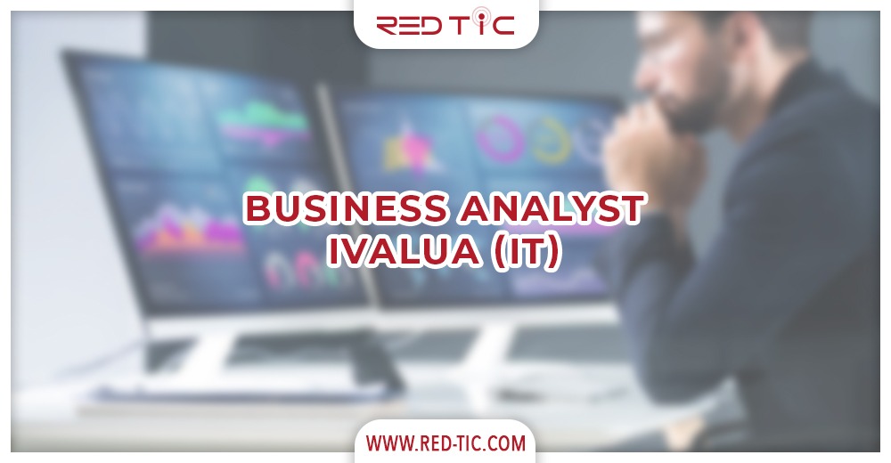 You are currently viewing BUSINESS ANALYST IVALUA (IT)