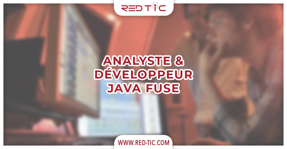 ANALYSTE & DÉVELOPPEUR JAVA FUSE