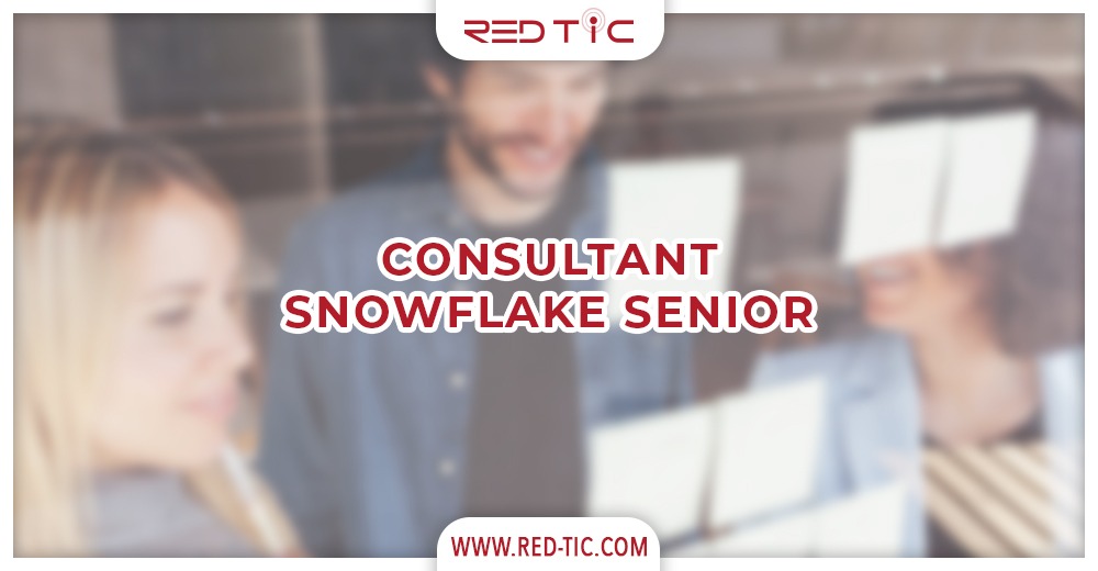 CONSULTANT SNOWFLAKE SENIOR